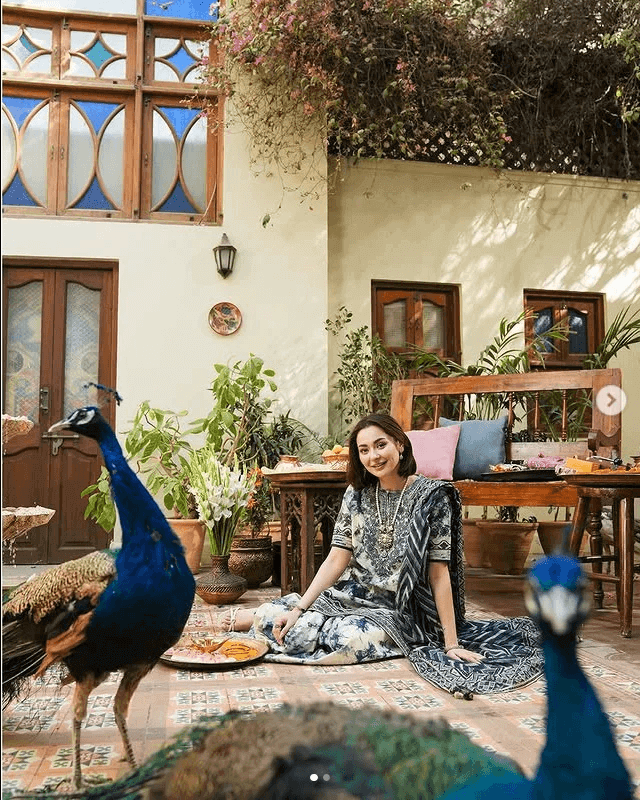 Sapphire Dhanak Embroidered 3 Piece | SP105 | Trendy Outfits - Anu Jee.