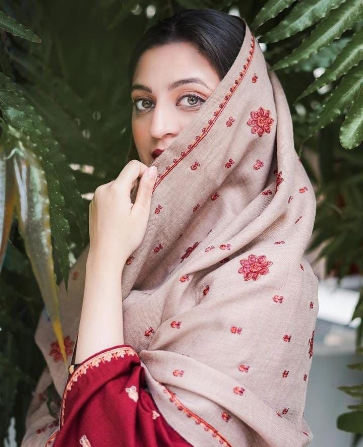 Aisling Dhanak Embroidered 3 Piece | AL111| - Trendy Outfits -Anu Jee